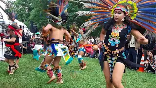 Danza Azteca - Tlaloc