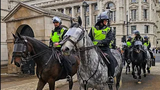 POLICE and HORSES in RIOT GEAR as the King's Guard is removed when a protest passes Horse Guards!