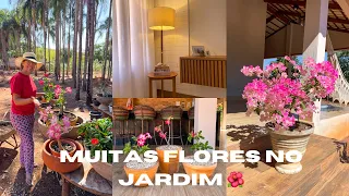 NOVIDADES NA SALA! JARDIM CHEIO DE FLORES 🌺 🌸🌼