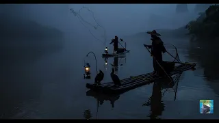 Παραδοσιακή αλιεία με εκπαιδευμένους κορμοράνους