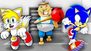 BOBBY'S DAYCARE ESCAPE with Sonic & Tails!