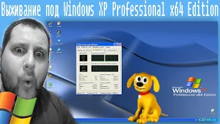 Выживание под Windows XP Professional x64 Edition в 2021 году