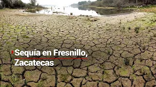 #VivirSinAgua | Habitantes de 258 comunidades rurales en Fresnillo, intentan sobrevivir a la sequía