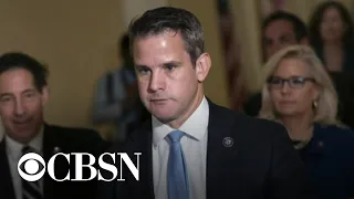 Republican Congressman Adam Kinzinger won't seek reelection