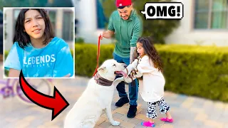 We Can't Believe This Happened.. (UNEXPECTED) | Familia Diamond