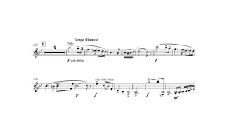 Weber, Carl Maria Von: Concerto nº1 for Clarinet in B flat _1º and (orchestra accompaniment )