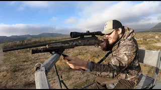 HUNTING JAVELINA, BOBCATS, ELK AND WHITETAIL DEER IN WEST TEXAS!!