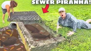 I Found a Sewer FILLED With PIRANHAS!