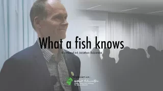 »What a fish knows« – Vortrag von Jonathan Balcombe