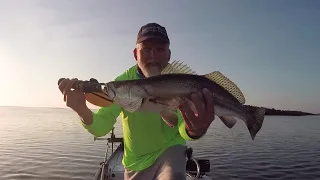 Early Fireworks! - Mosquito Lagoon Fishing Report 7-1-2023