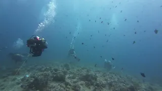 Huge Schools of fish in Palau (hooked in)