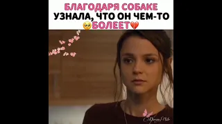 😭Благодаря собаке узнала, что он чем-то болеет💔 *Собачья жизнь*