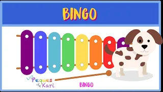 🤩 Aprende a tocar la canción infantil Bingo