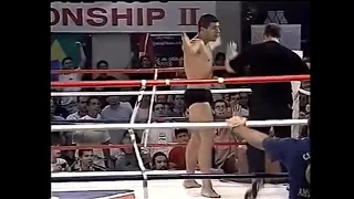 Pedro Rizzo Low Leg Kicks - Most Devastating Kicking Power in MMA History