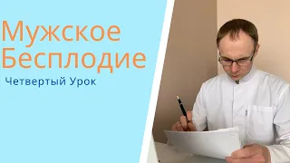 Мужское бесплодие. 4/6 Урок