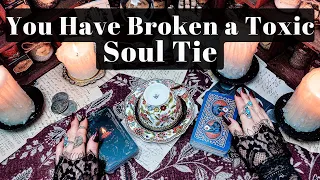 You Have Broken a Toxic Soul Tie and Freed Yourself - Coffee & Tarot Reading