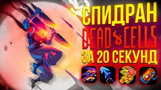 Спидран Dead Cells за 20 секунд  Разбор Спидрана