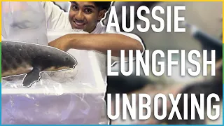 I bought a $1000 Australian Lungfish 3 Years Ago. Here's what happened! FULL UPDATE and I got more!