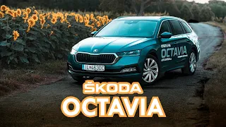 Der Alleskönner! Skoda Octavia 2020 - der bessere Golf?