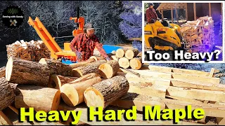 Just How Good is a Mini Skid Steer at Moving Firewood? Let's Find Out!