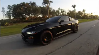 Loud BURBLE TUNE Mustang goes to FLORIDA car meet (STRAIGHT PIPED)