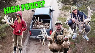 What its like Shed Hunting a High Fence Trophy Ranch