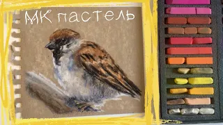 💛Как нарисовать воробушка сухой пастелью на крафт бумаге✨ Soft Pastels mungyo