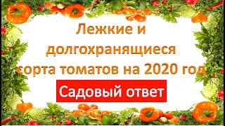 Лежкие и долгохранящиеся сорта томатов на 2020 год