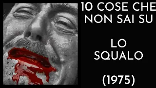 10 COSE CHE NON SAI SU LO SQUALO - THE VNTG NETWORK