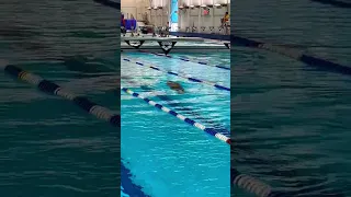 Dad’s Dive and Glide
