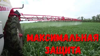 Фунгицидная обработка Озимой Пшеницы/Когда лучше обрабатывать/Контроль болезней озимой пшеницы.