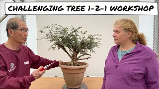 Challenging Tree   1 2 1 Workshop