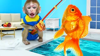 KiKi Monkey catches Biggest Fish in magical pool and swim with Duckling | KUDO ANIMAL KIKI