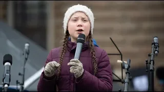 WELT-DOKUMENT: Hamburger Schüler demonstrieren mit Greta Thunberg