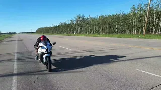 2017 Kawasaki zx10r 299km/h (187 Mph) flyby