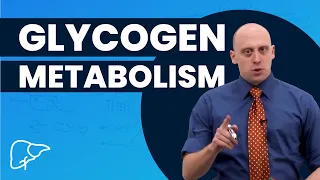 Glycogen Metabolism (Sample Lesson) | Preclinical | Metabolism | @OnlineMedEdCom