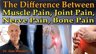 The Difference Between Muscle Pain, Joint Pain, Nerve Pain, & Bone Pain - Dr Mandell