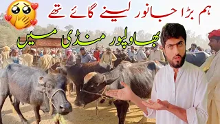 humne janwar🐂 le liya kurbani ke liye!tanveer sraiki vilog