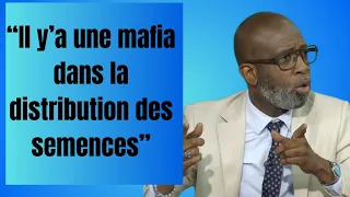 “Il y’a une mafia dans la distribution des semences."