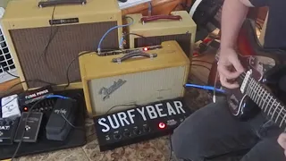 Reverb Battle  Surfy Bear Fights a Fender reverb Unit
