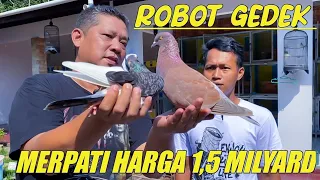 ROBOT GEDEK MUTIARA HARGANYA SAMA SEPERTI MERPATI JAGUAR KENWOOD