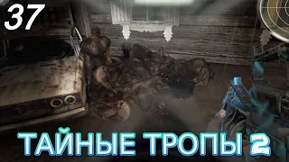 S.T.A.L.K.E.R.Тайные тропы 2 #37 3 шлема для Зверобоя ПДА для Борова арт Сверхпроводник 3 диска Ден