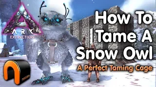 ARK Extinction How to Tame A SNOW OWL - BEST CAGE & Kibble!