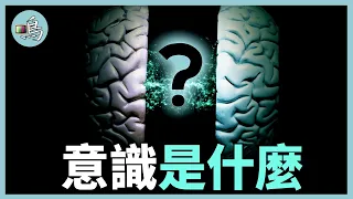 意識怎樣產生，它被困在大腦裡嗎？最新科學研究顛覆認知 l What is consciousness？