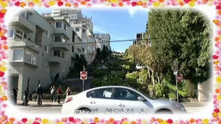 「花のサンフランシスコ　San Francisco」 スコット・マッケンジー　Scott McKenzie