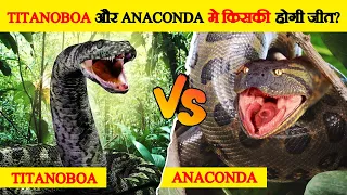 क्या होगा जब Titanoboa और Anaconda आपस में भिड़ेंगे | Titanoboa vs Anaconda - Who Will Win?