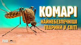 ЧОМУ КОМАРІ КУСАЮТЬ ОДНИХ ЛЮДЕЙ БІЛЬШЕ НІЖ ІНШИХ? 🦟 [VERITASIUM]