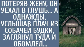 Потеряв жену, он уехал в глушь… А однажды, услышав плач из собачей будки, заглянул туда и обомлел