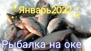 Зимняя рыбалка на Оке, плотва на мормышку в январе 2023