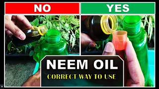 Neem oil for plants how to use